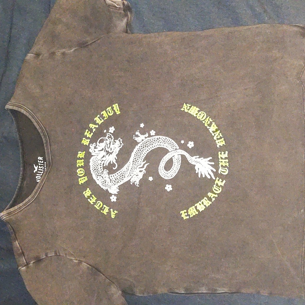 Hollister  Tee with Dragon Graphic - Charcoal
